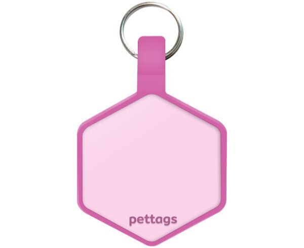 Tag Hexágono Rosa Chiclé